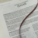 Light for Life NASB Study Bible (Blush Bouquet)